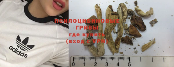 твердый Алзамай