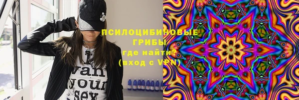 ГАЛЛЮЦИНОГЕННЫЕ ГРИБЫ Алексеевка