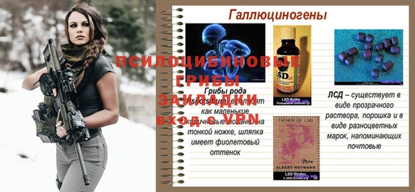 твердый Алзамай