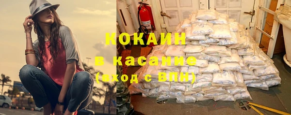 твердый Алзамай