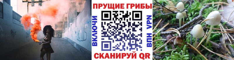 магазин    Трёхгорный  нарко площадка клад  Галлюциногенные грибы мицелий  мега вход 